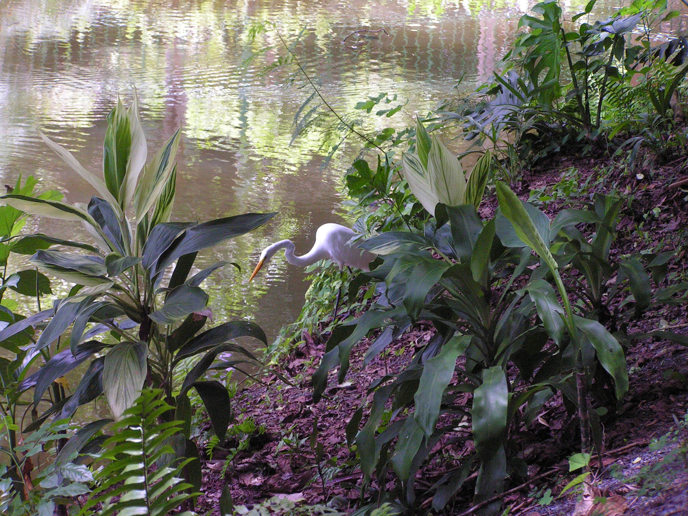 ./2005/Puerto Rico/Part 2/PICT0110.JPG